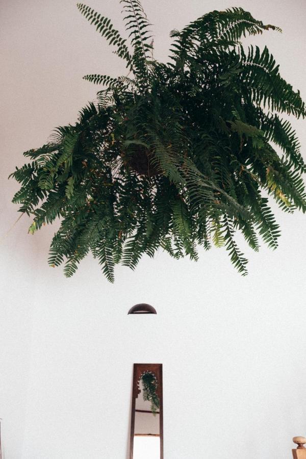 Casa Nube Blanca Konuk evi Ye Dış mekan fotoğraf